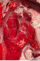 RAW meat pork viscera 0016